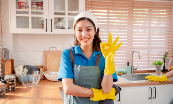 Best House Cleaning 