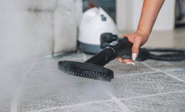 Extensive Carpet Cleaning