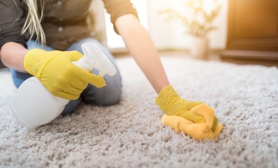professional carpet cleaners