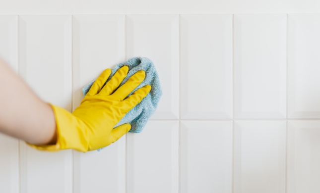 Skills Cleaning